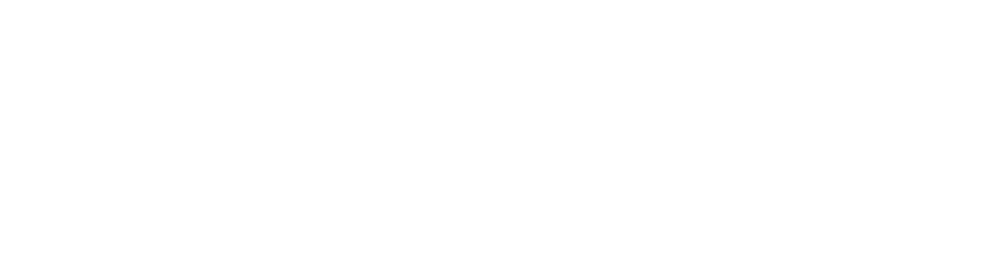 ARICISOFT logo
